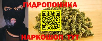 трава Пугачёв