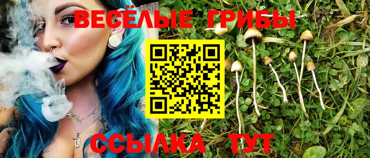 Псилоцибиновые грибы Psilocybine cubensis  Вход с VPN  Сальск  Галлюциногенные грибы Cubensis 