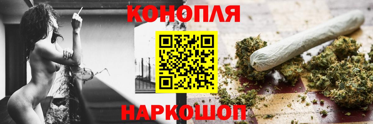 Шишки марихуана конопля Сальск